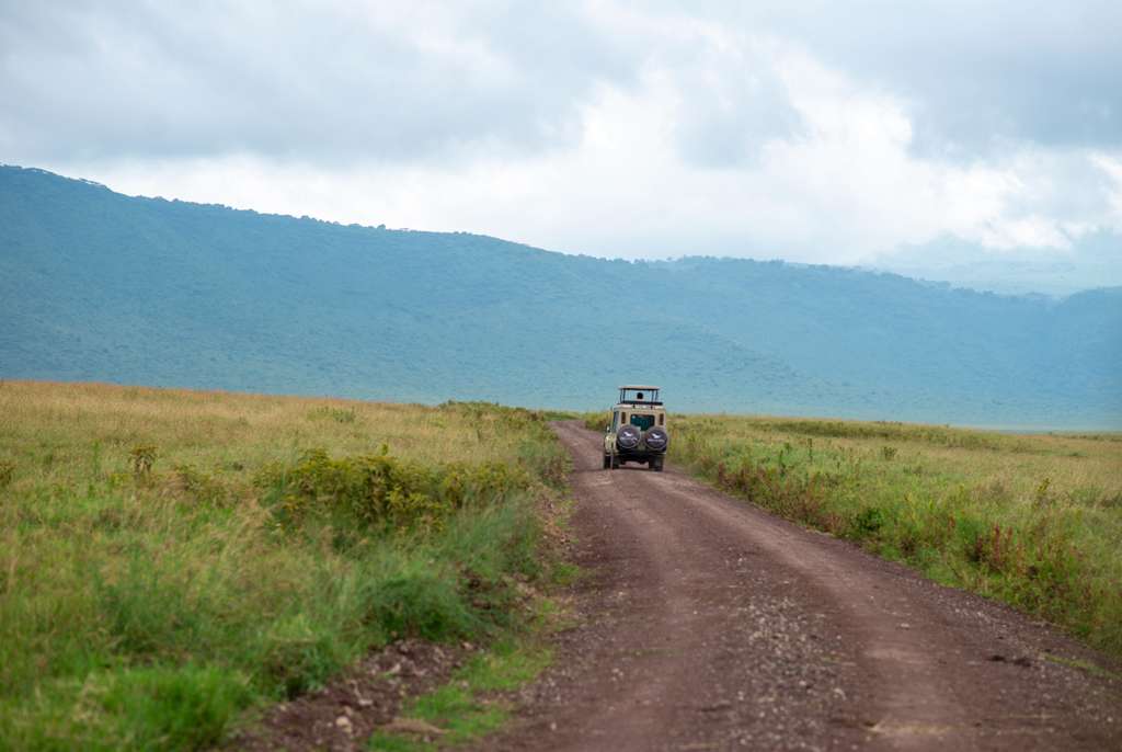6-Day Tanzania Highlights Safari