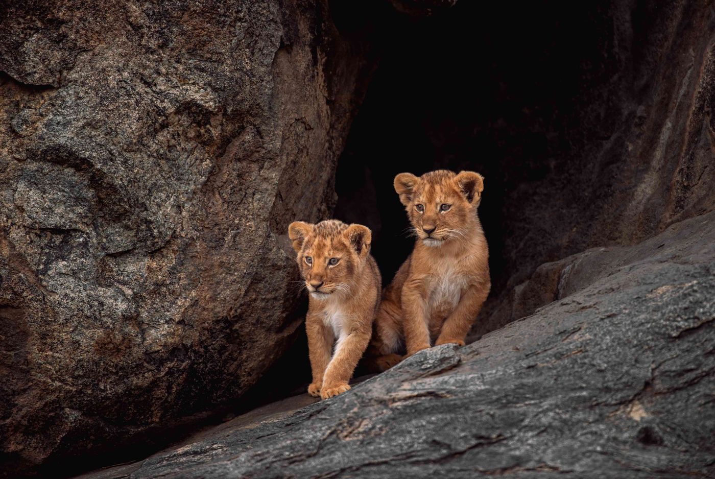 7-Day Tanzania FAM for U.S. Travel Advisors