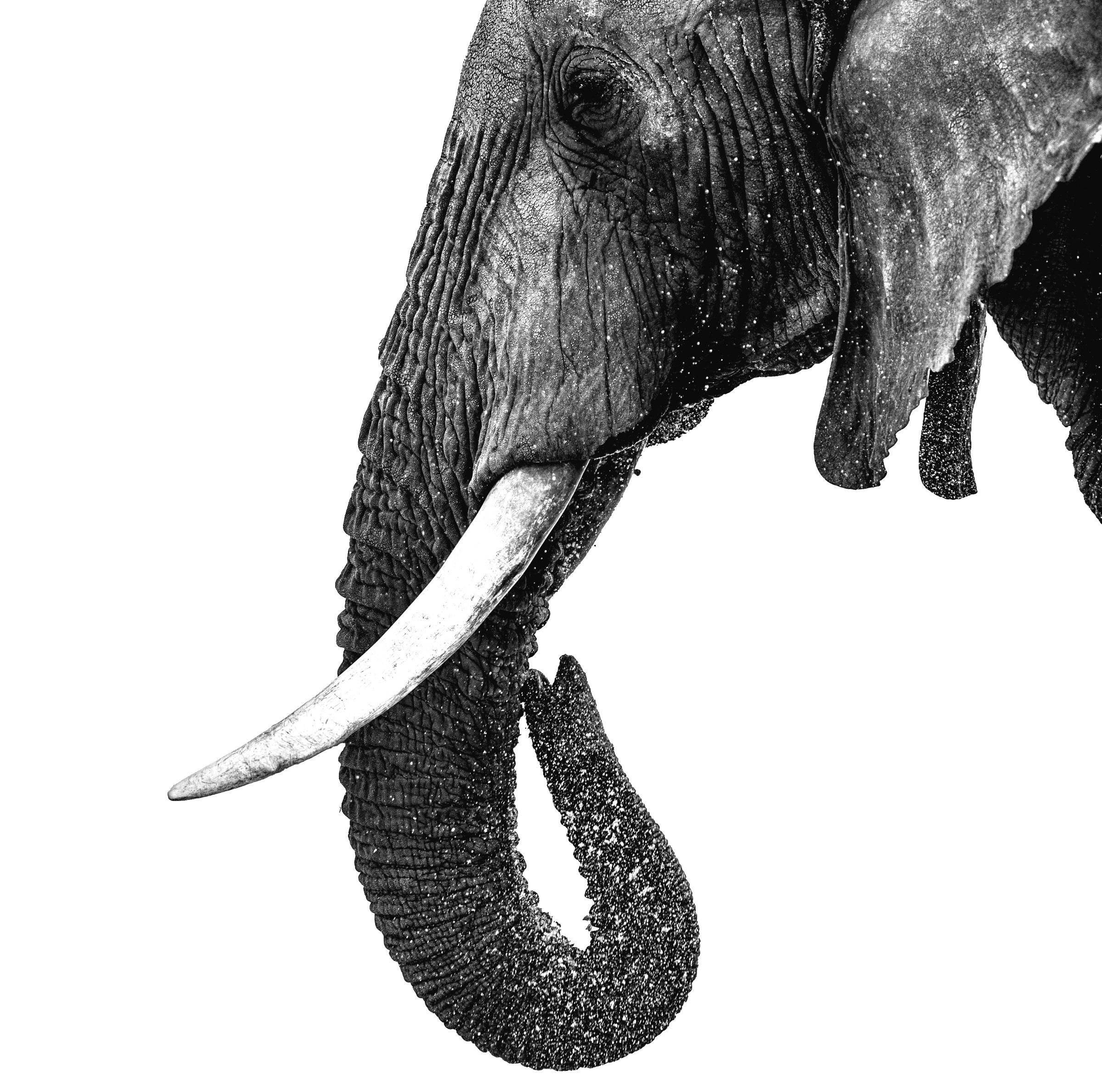 Small Group_10 Days Big 5 Adventure ( Return Airfare)