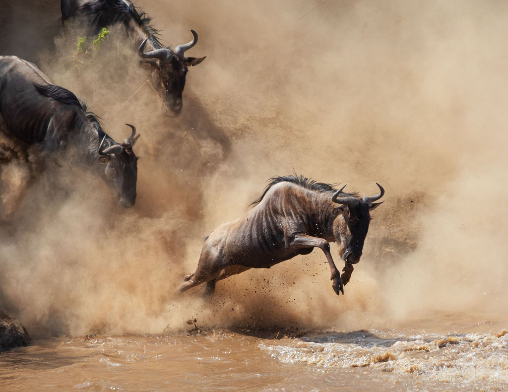12-Day Tanzania FAM for U.S. Travel Advisors