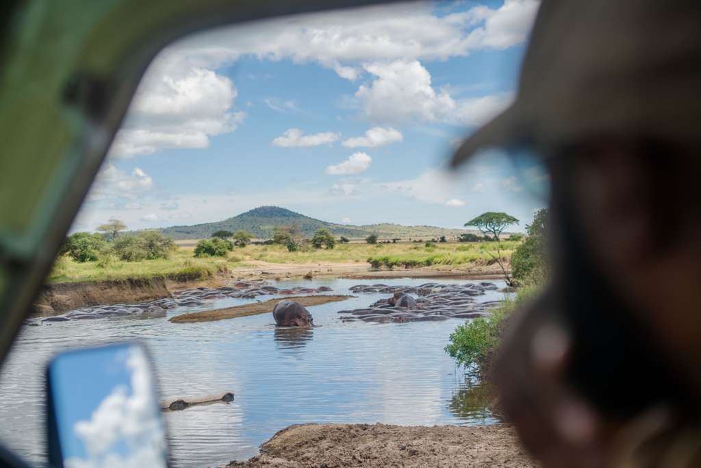 Small Group_ 12 Days Big 5 Adventure & Znz Beach ( Return Airfare)